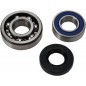 CHAINCASE BEARING-SEAL KT