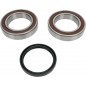 CHAINCASE BEARING-SEAL KT