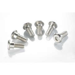 BRAKE ROTOR BOLTS