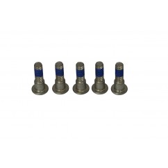 BRAKE ROTOR BOLTS