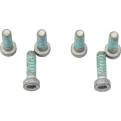 BRAKE ROTOR BOLTS