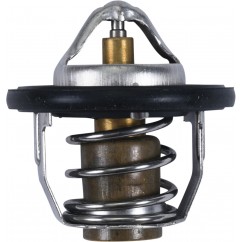 THERMOSTAT POLARIS