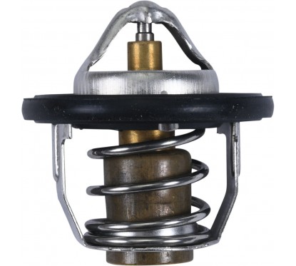 THERMOSTAT POLARIS