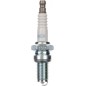 SPARK PLUG NGK DR8EB