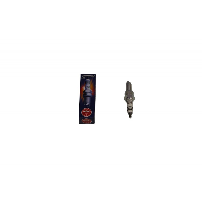 SPARK PLUG NGK CPR8EAIX-9