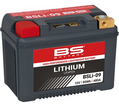 BATTERY LITHIUM BSLI-09