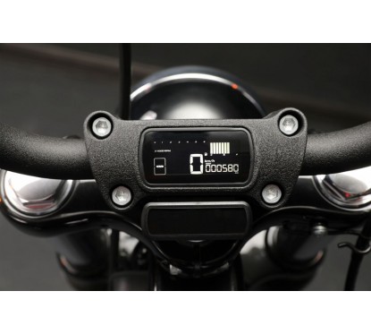 GAUGE D2 LCD 2014-2017 FXD-XL-