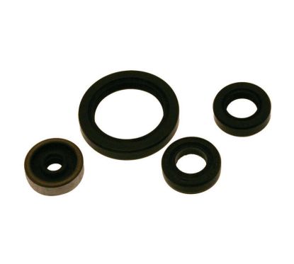Jeu de joints spi CENTAURO
