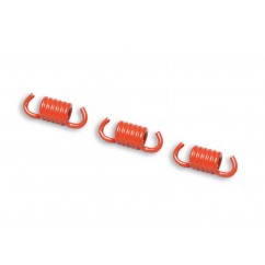 Ressorts d'embrayage rouge MALOSSI Ø2mm - embrayages Delta/Fly