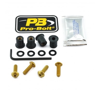 BOLT KIT SCREEN GOLD