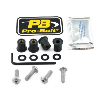 BOLT KIT SCREEN SILVER