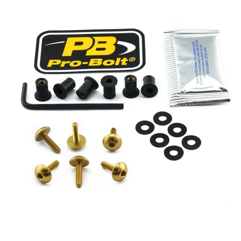 BOLT KIT SCREEN GOLD