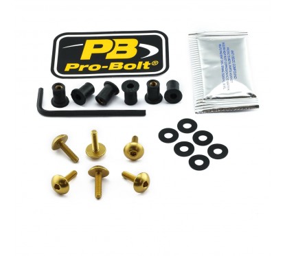 BOLT KIT SCREEN GOLD