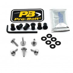 BOLT KIT SCREEN SILVER