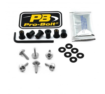 BOLT KIT SCREEN SILVER