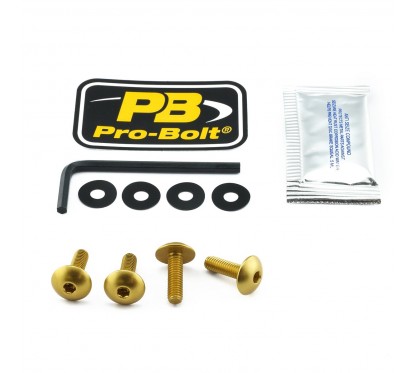 BOLT KIT SCREEN GOLD