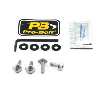 BOLT KIT SCREEN SILVER