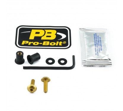 BOLT KIT SCREEN GOLD