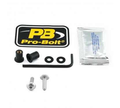 BOLT KIT SCREEN SILVER