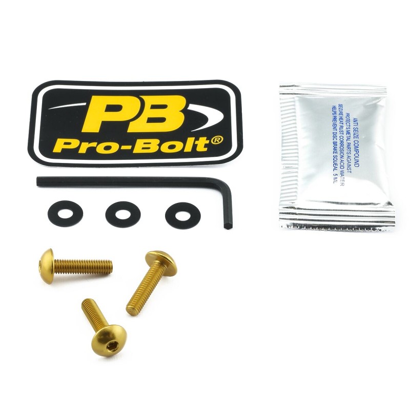 BOLT KIT SCREEN GOLD