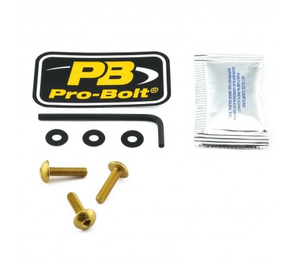 BOLT KIT SCREEN GOLD