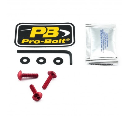 BOLT KIT SCREEN RED