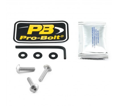 BOLT KIT SCREEN SILVER