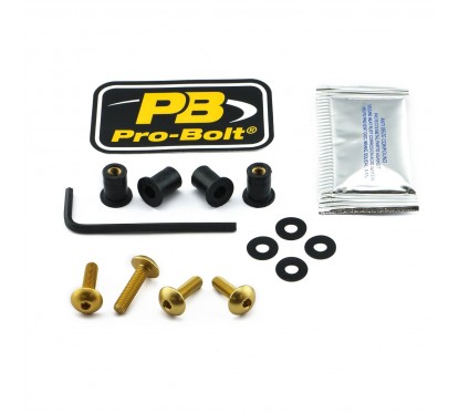 BOLT KIT SCREEN GOLD