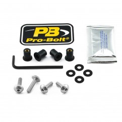 BOLT KIT SCREEN SILVER