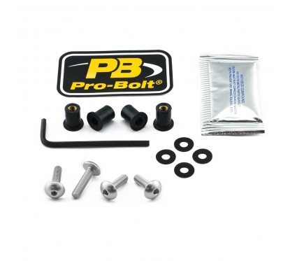 BOLT KIT SCREEN SILVER