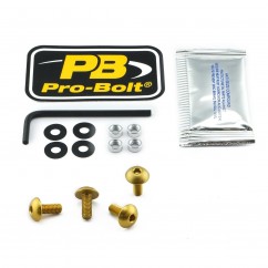 BOLT KIT SCREEN GOLD