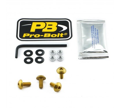 BOLT KIT SCREEN GOLD