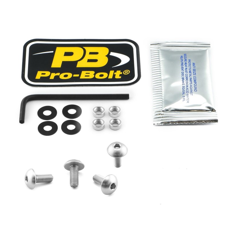 BOLT KIT SCREEN SILVER