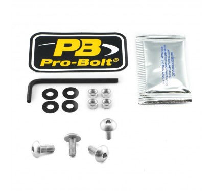 BOLT KIT SCREEN SILVER