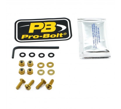 BOLT KIT SCREEN GOLD