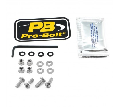 BOLT KIT SCREEN SILVER