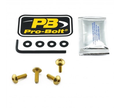 BOLT KIT SCREEN GOLD