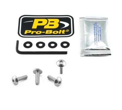 BOLT KIT SCREEN SILVER