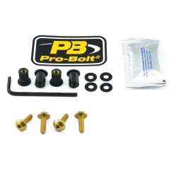 BOLT KIT SCREEN GOLD