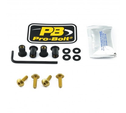 BOLT KIT SCREEN GOLD