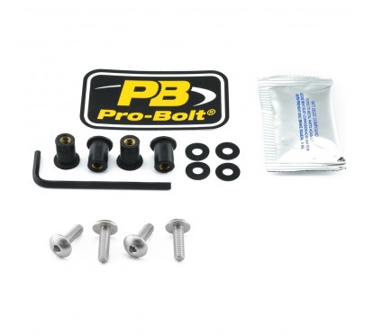 BOLT KIT SCREEN SILVER