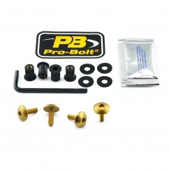 BOLT KIT SCREEN GOLD