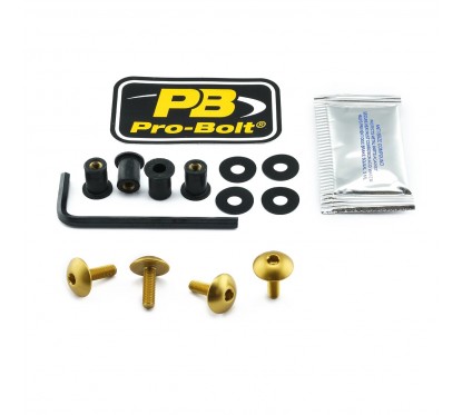 BOLT KIT SCREEN GOLD