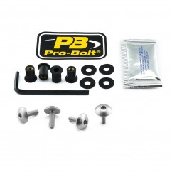 BOLT KIT SCREEN SILVER