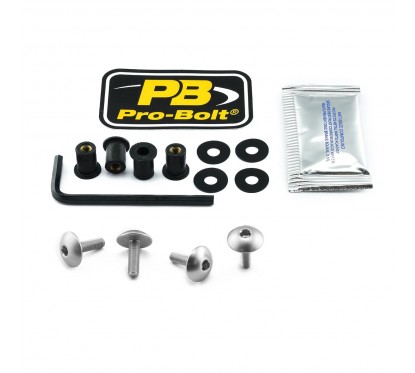 BOLT KIT SCREEN SILVER