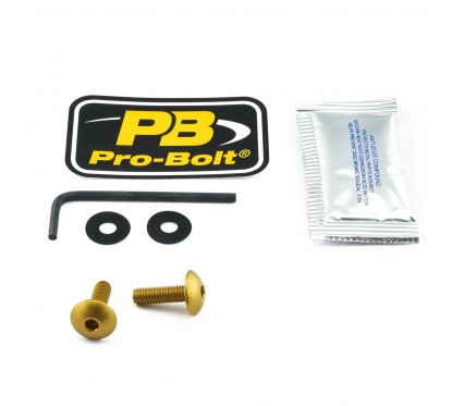 BOLT KIT SCREEN GOLD