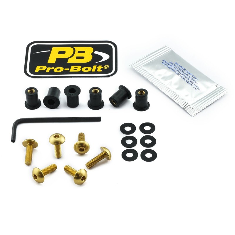 BOLT KIT SCREEN GOLD