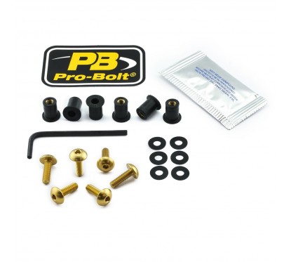 BOLT KIT SCREEN GOLD