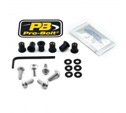 BOLT KIT SCREEN SILVER