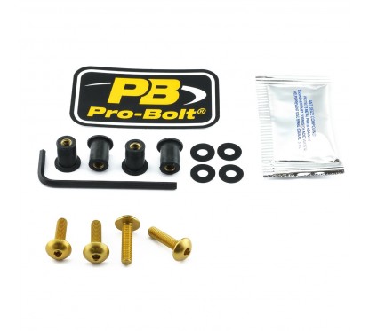 BOLT KIT SCREEN GOLD